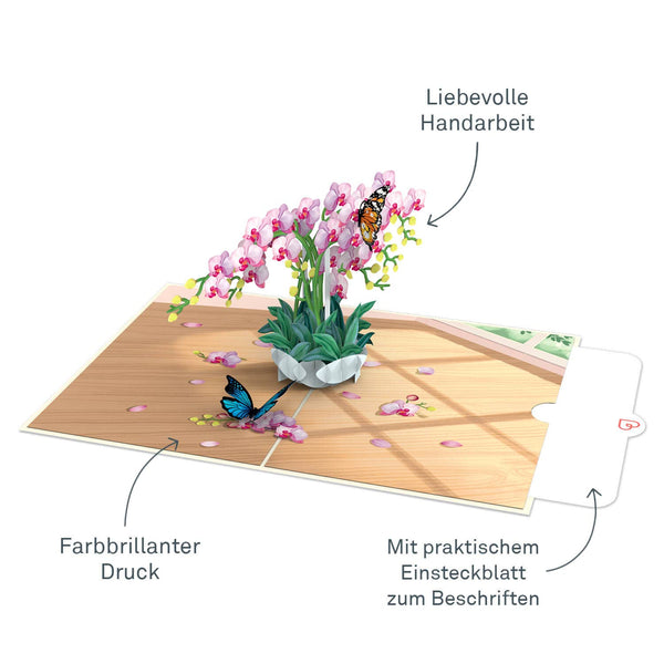 Orchidee Pop-Up