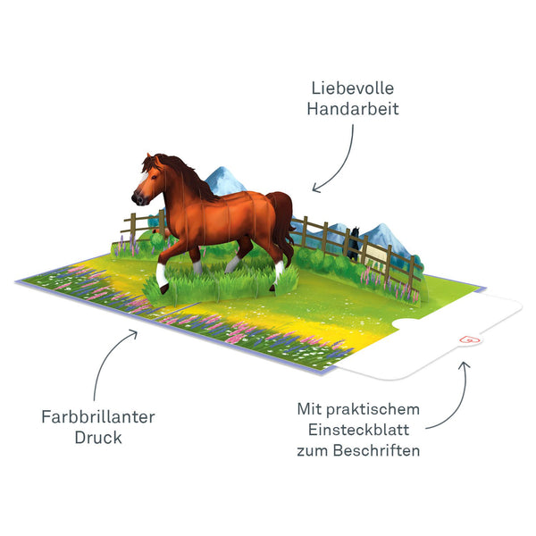 Pferd Pop-Up