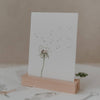 Aquarellkarte Pusteblume