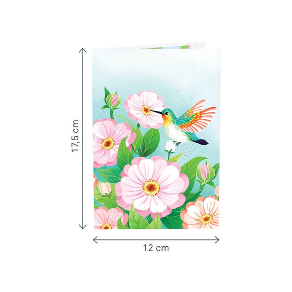 Kolibri Pop-Up