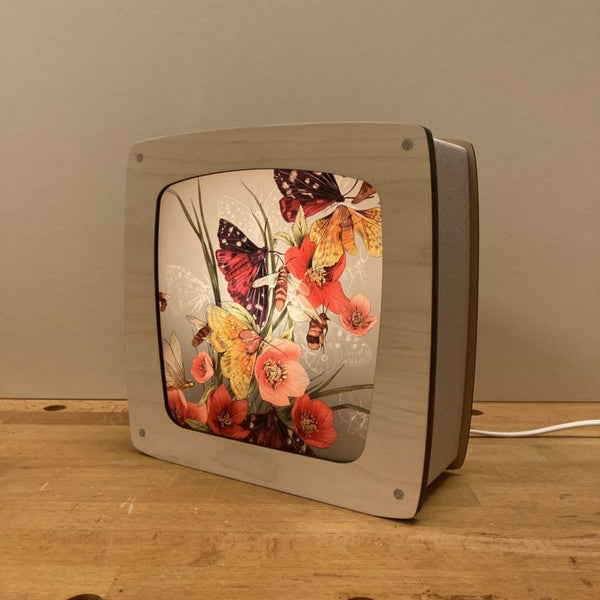 Illustrationen für die Wunderlampe
