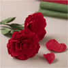 Krepp Papier Rosen Mini Kreativ Set