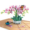 Orchidee Pop-Up
