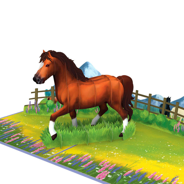 Pferd Pop-Up