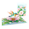 Kolibri Pop-Up
