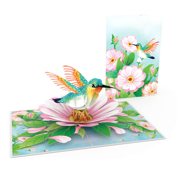 Kolibri Pop-Up