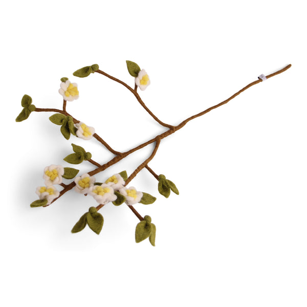 Zweig Apfelblüte