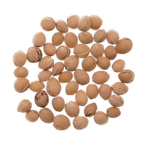 Kirschkerne 500 g