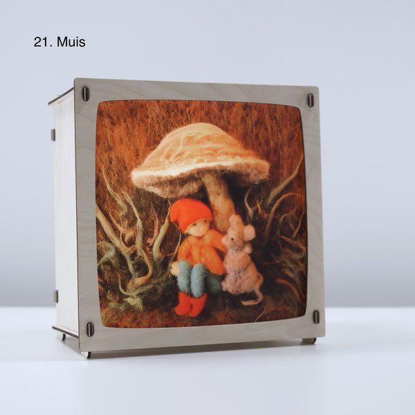 Bilder für die Wunderlampe
