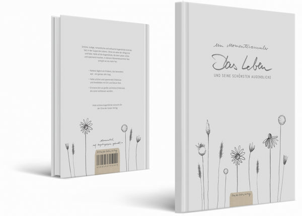 Momentesammler Tagebuch